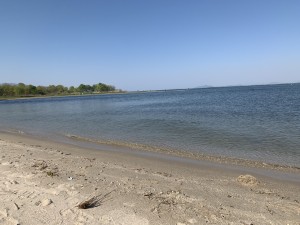 IMG_3332