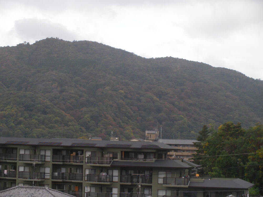 紅葉！