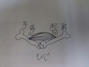 背中に目がないの話をしましょう
