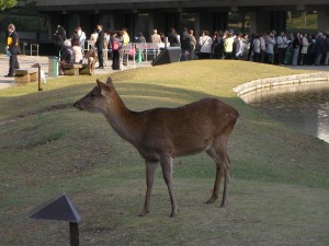 京滋マスターズ結果！！