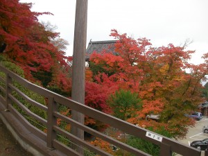 紅葉三昧！！
