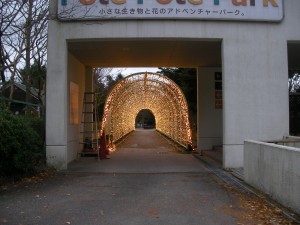 2012年！