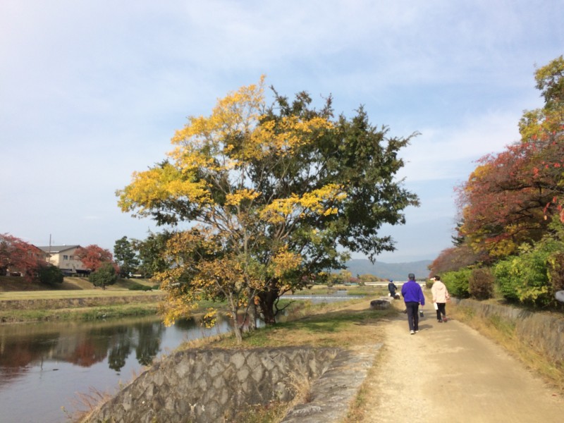 紅葉