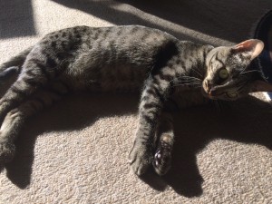 寺内最後のブログ更新です。