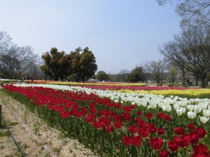 お出掛けが…！