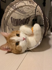 まんまる