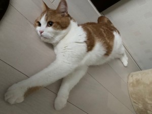 お昼寝☆