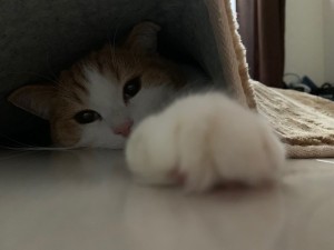 ぬくぬく☆