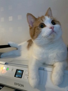 今年もよろしくお願いします。
