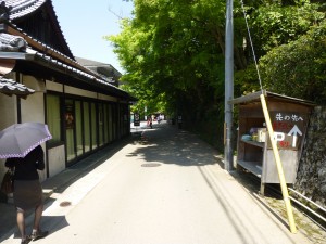 青もみじ！