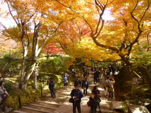 紅葉真っ盛り！