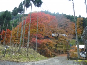 12月！
