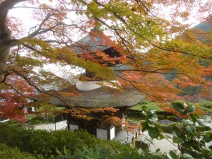 紅葉！