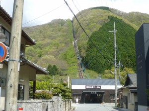 春の行楽！