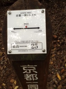 アクティブレスト