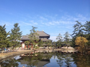 走ってきました。