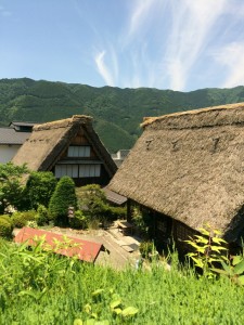 穏やかな時間。