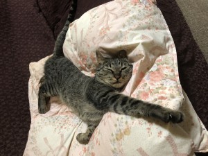 知っておくことが大切