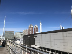 2019年です！