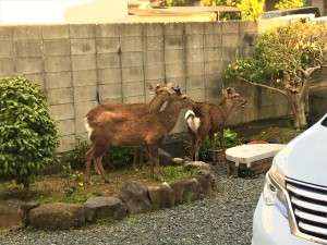 奈良市民の現状。。。