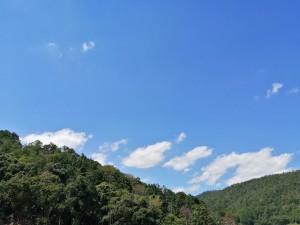 自然ドライブ
