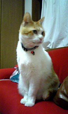 ☆癒し☆