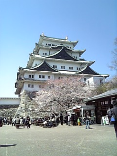 もうすぐ。。。。。春。。。。