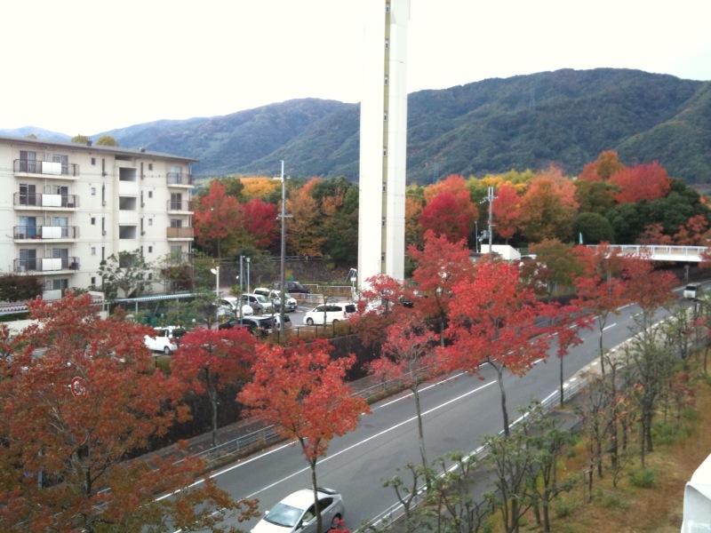 こんにちは☆