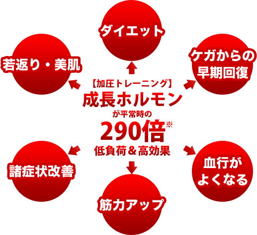 亀岡初がヘミングに！