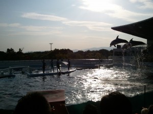 水族館