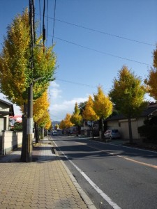 いい夫婦の日