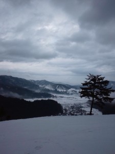 またまた…