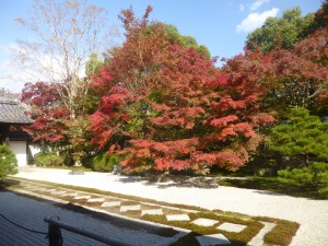 紅葉！