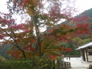 紅葉2！