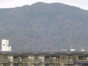 紅葉の嵐山！