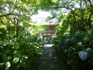 大阪のお寺！