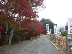 紅葉　その1！
