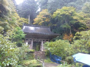紅葉　その2！