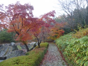 紅葉　その4！
