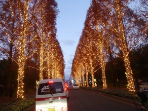 2016年ありがとうございました。