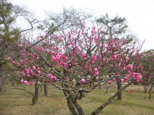 冬から春のおでかけ！