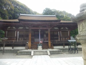 生駒の紫陽花！