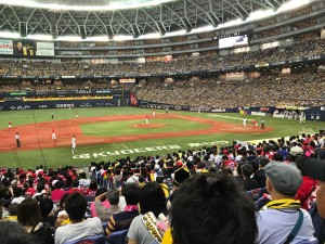 プロ野球観戦！
