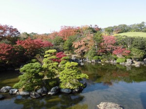 紅葉はじまり、はじまり！
