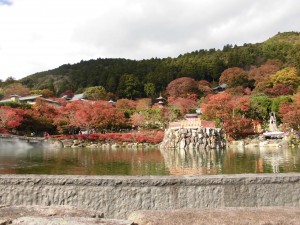 紅葉2！