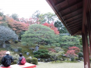 紅葉3！