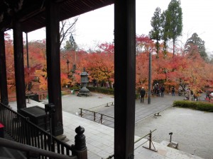 紅葉4！