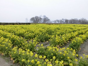 初春のお出かけ1！