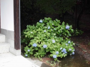 フライング？と新名所へ！
