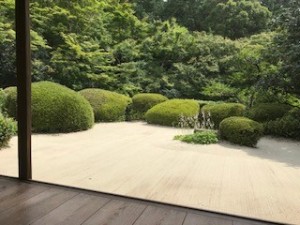 京都市内の近場！